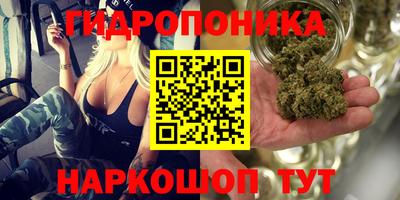 a pvp Краснокаменск