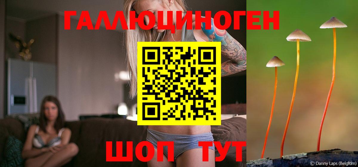 Клинцы  Галлюциногенные грибы Psilocybine cubensis  Вход с VPN 